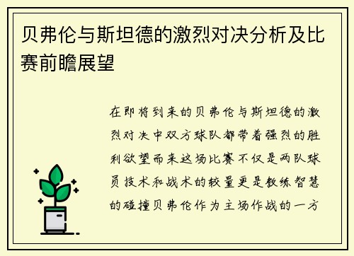 贝弗伦与斯坦德的激烈对决分析及比赛前瞻展望
